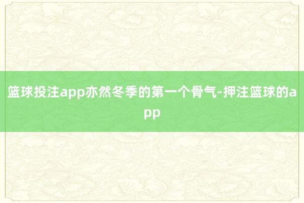 篮球投注app亦然冬季的第一个骨气-押注篮球的app