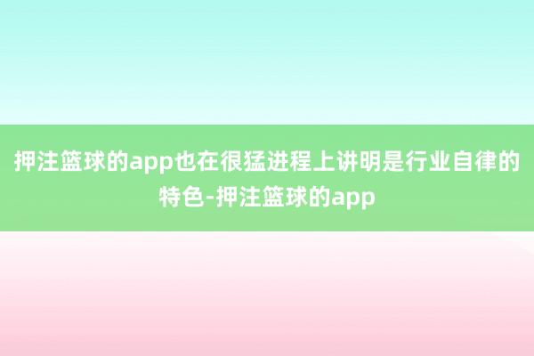押注篮球的app也在很猛进程上讲明是行业自律的特色-押注篮球的app