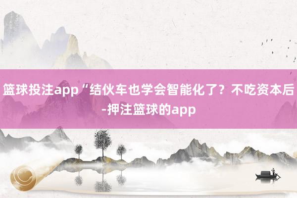 篮球投注app“结伙车也学会智能化了?不吃资本后-押注篮球的app