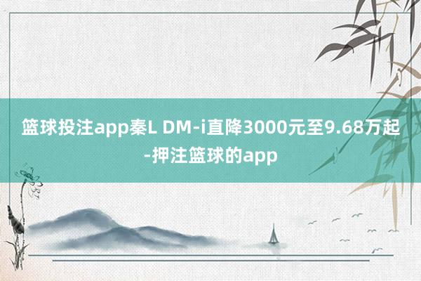 篮球投注app秦L DM-i直降3000元至9.68万起-押注篮球的app