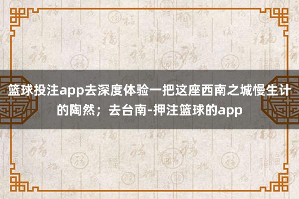 篮球投注app去深度体验一把这座西南之城慢生计的陶然;去台南-押注篮球的app