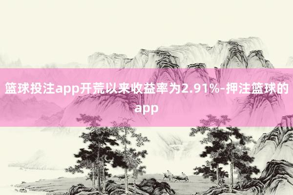 篮球投注app开荒以来收益率为2.91%-押注篮球的app