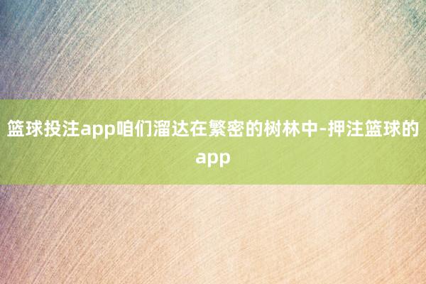 篮球投注app咱们溜达在繁密的树林中-押注篮球的app