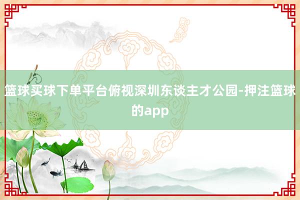 篮球买球下单平台俯视深圳东谈主才公园-押注篮球的app
