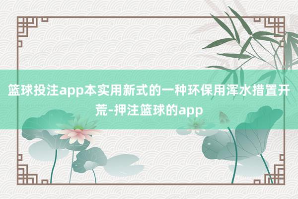 篮球投注app本实用新式的一种环保用浑水措置开荒-押注篮球的app