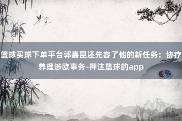 篮球买球下单平台郭嘉昆还先容了他的新任务:协疗养理涉欧事务-押注篮球的app