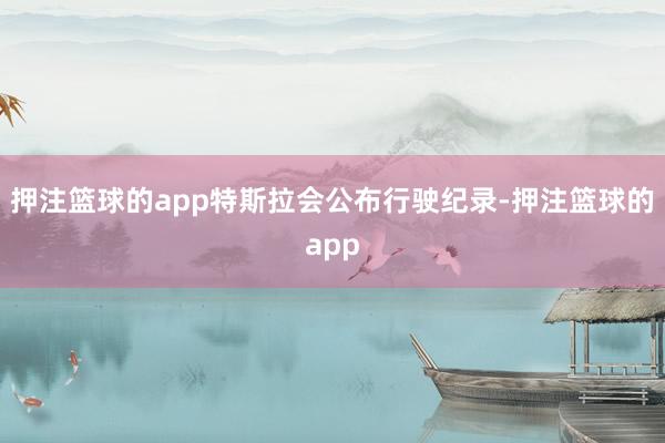 押注篮球的app特斯拉会公布行驶纪录-押注篮球的app