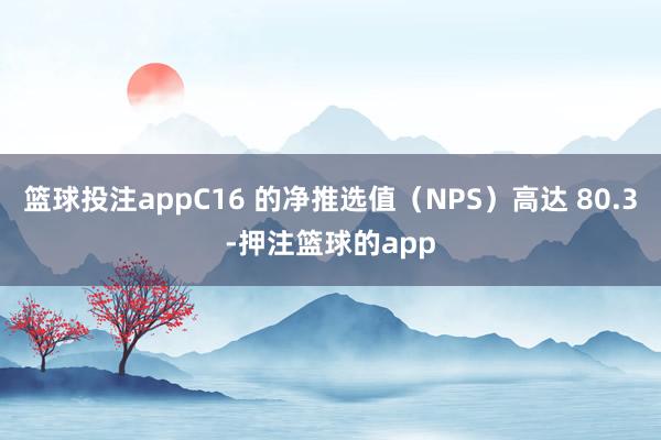 篮球投注appC16 的净推选值(NPS)高达 80.3-押注篮球的app