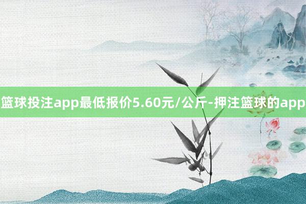 篮球投注app最低报价5.60元/公斤-押注篮球的app