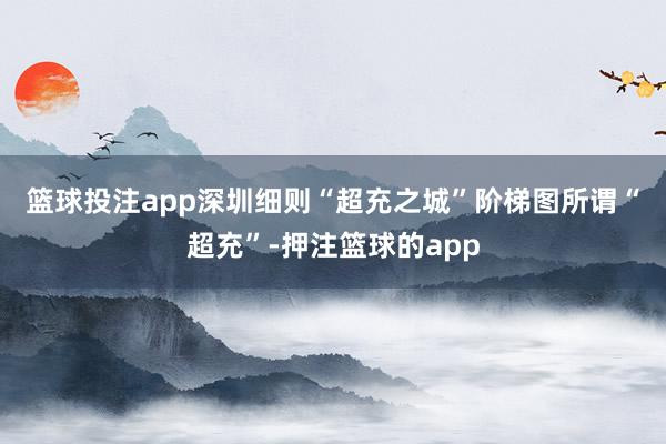 篮球投注app 深圳细则“超充之城”阶梯图 所谓“超充”-押注篮球的app