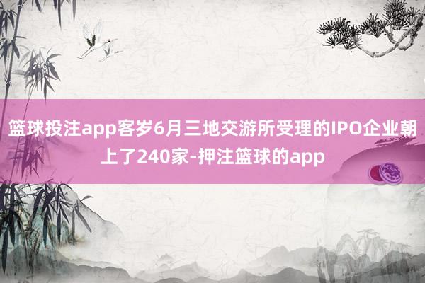 篮球投注app客岁6月三地交游所受理的IPO企业朝上了240家-押注篮球的app