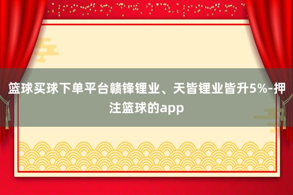 篮球买球下单平台赣锋锂业、天皆锂业皆升5%-押注篮球的app