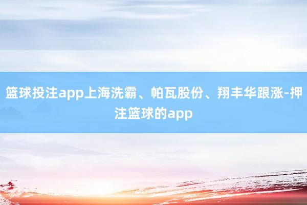篮球投注app上海洗霸、帕瓦股份、翔丰华跟涨-押注篮球的app