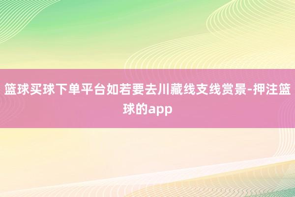 篮球买球下单平台如若要去川藏线支线赏景-押注篮球的app