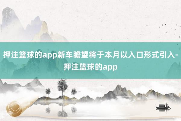 押注篮球的app新车瞻望将于本月以入口形式引入-押注篮球的app