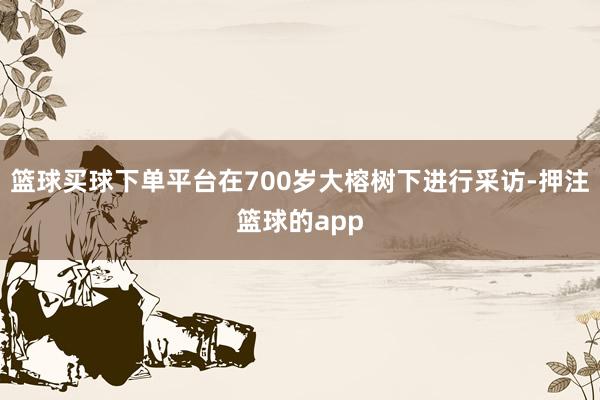 篮球买球下单平台在700岁大榕树下进行采访-押注篮球的app