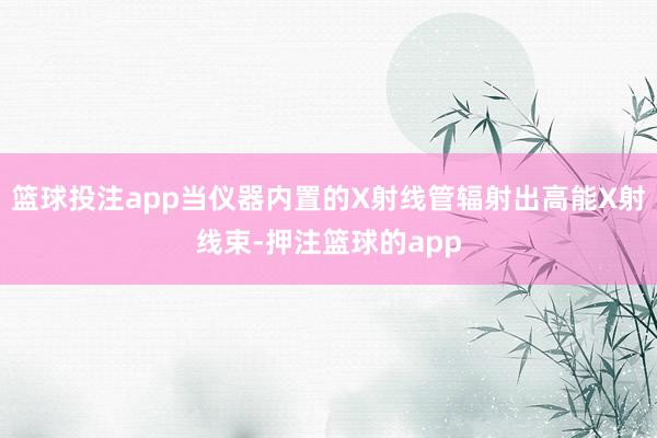 篮球投注app当仪器内置的X射线管辐射出高能X射线束-押注篮球的app