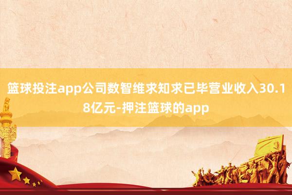 篮球投注app公司数智维求知求已毕营业收入30.18亿元-押注篮球的app