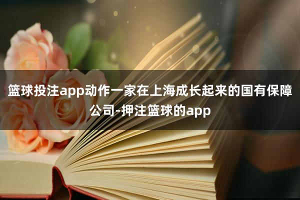 篮球投注app动作一家在上海成长起来的国有保障公司-押注篮球的app