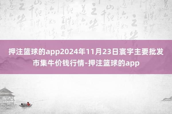 押注篮球的app2024年11月23日寰宇主要批发市集牛价钱行情-押注篮球的app