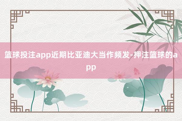 篮球投注app近期比亚迪大当作频发-押注篮球的app