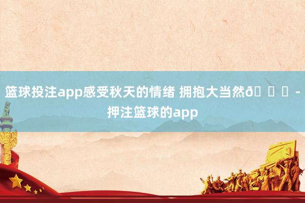 篮球投注app感受秋天的情绪 拥抱大当然🍁-押注篮球的app