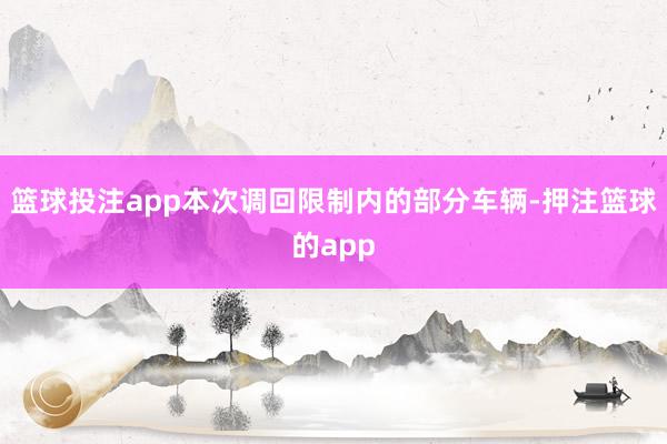 篮球投注app本次调回限制内的部分车辆-押注篮球的app