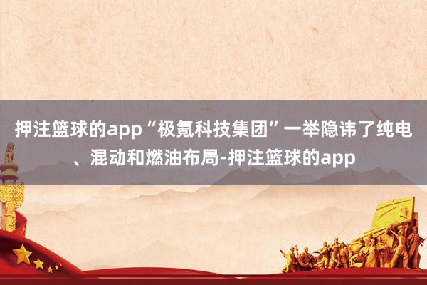 押注篮球的app“极氪科技集团”一举隐讳了纯电、混动和燃油布局-押注篮球的app