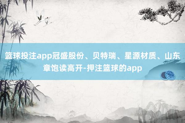 篮球投注app冠盛股份、贝特瑞、星源材质、山东章饱读高开-押注篮球的app