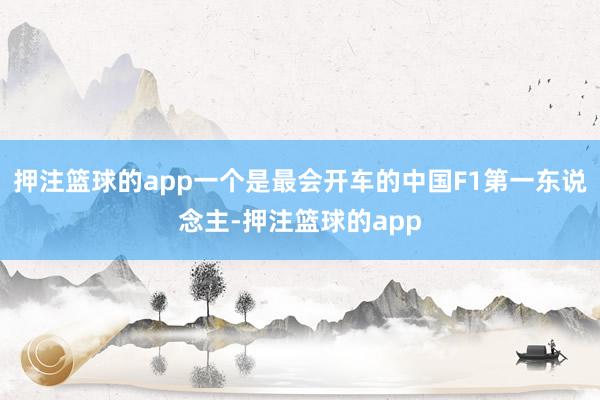 押注篮球的app一个是最会开车的中国F1第一东说念主-押注篮球的app