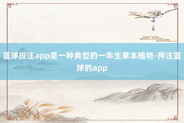 篮球投注app是一种典型的一年生草本植物-押注篮球的app
