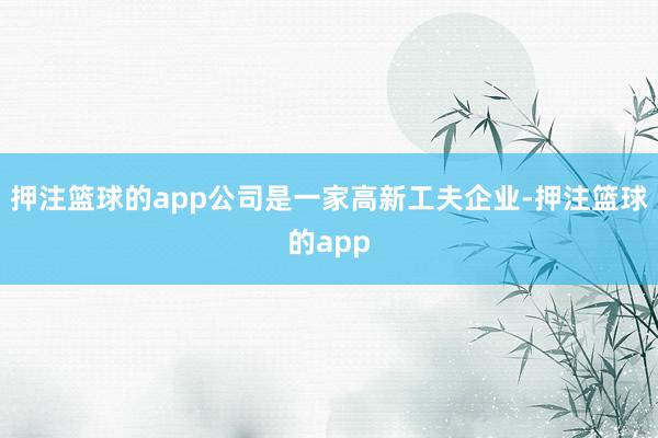 押注篮球的app公司是一家高新工夫企业-押注篮球的app