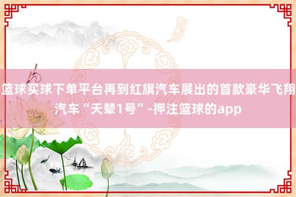 篮球买球下单平台再到红旗汽车展出的首款豪华飞翔汽车“天辇1号”-押注篮球的app