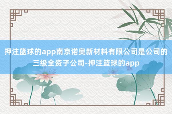 押注篮球的app南京诺奥新材料有限公司是公司的三级全资子公司-押注篮球的app