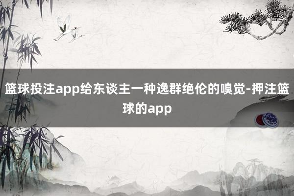 篮球投注app给东谈主一种逸群绝伦的嗅觉-押注篮球的app