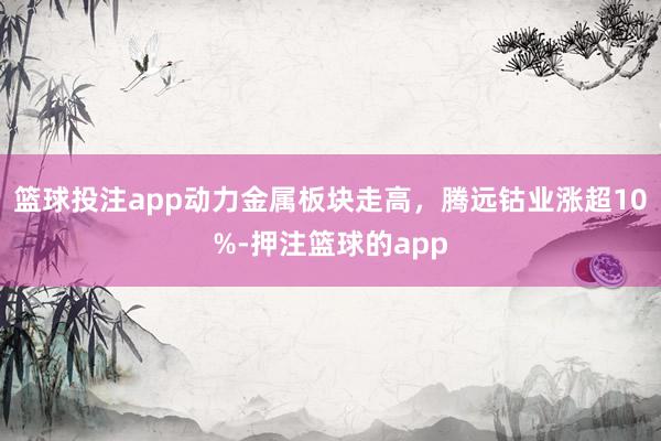 篮球投注app动力金属板块走高，腾远钴业涨超10%-押注篮球的app