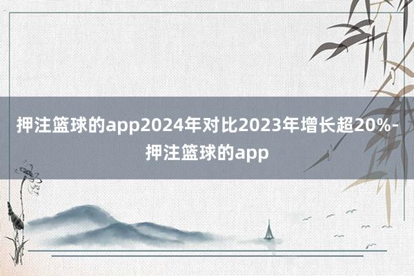 押注篮球的app2024年对比2023年增长超20%-押注篮球的app
