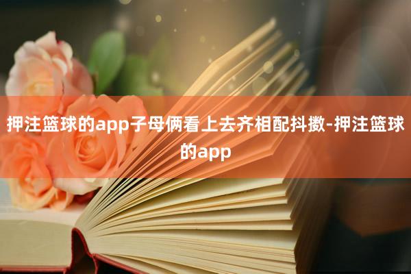 押注篮球的app子母俩看上去齐相配抖擞-押注篮球的app