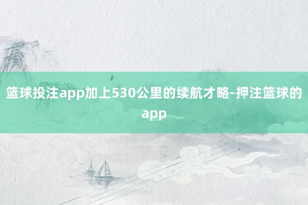 篮球投注app加上530公里的续航才略-押注篮球的app