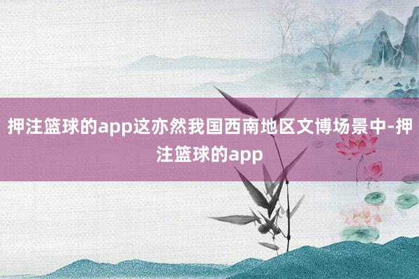 押注篮球的app这亦然我国西南地区文博场景中-押注篮球的app