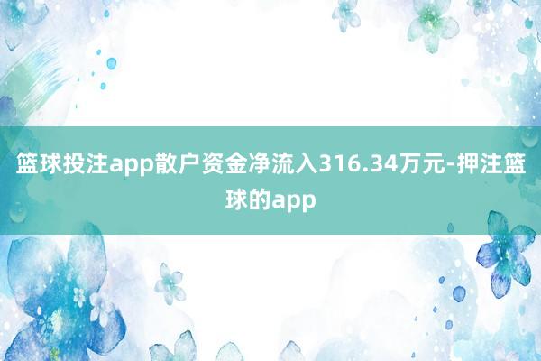 篮球投注app散户资金净流入316.34万元-押注篮球的app