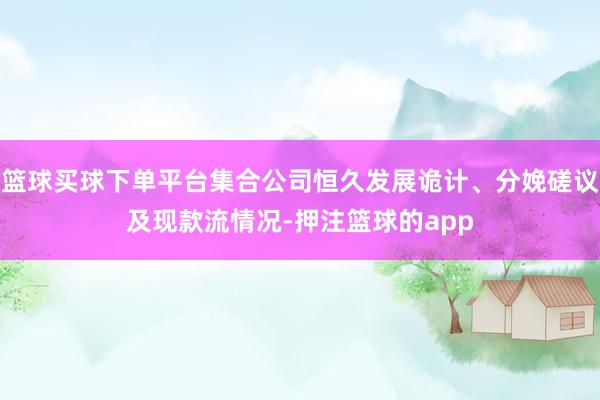 篮球买球下单平台集合公司恒久发展诡计、分娩磋议及现款流情况-押注篮球的app