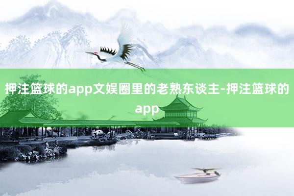 押注篮球的app文娱圈里的老熟东谈主-押注篮球的app