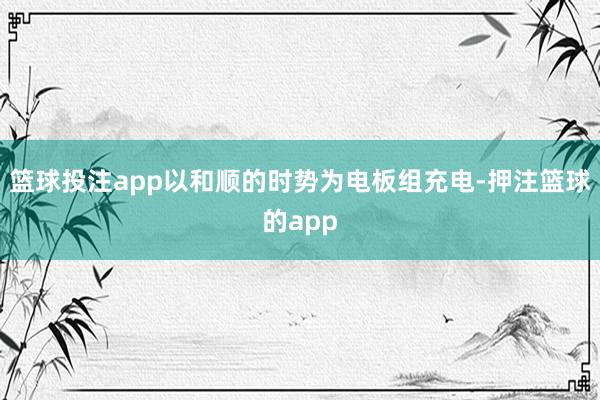 篮球投注app以和顺的时势为电板组充电-押注篮球的app