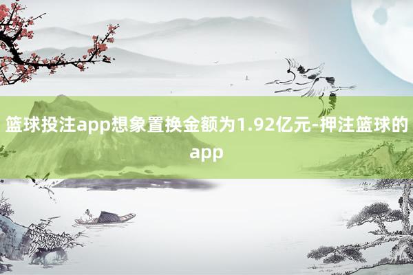 篮球投注app想象置换金额为1.92亿元-押注篮球的app
