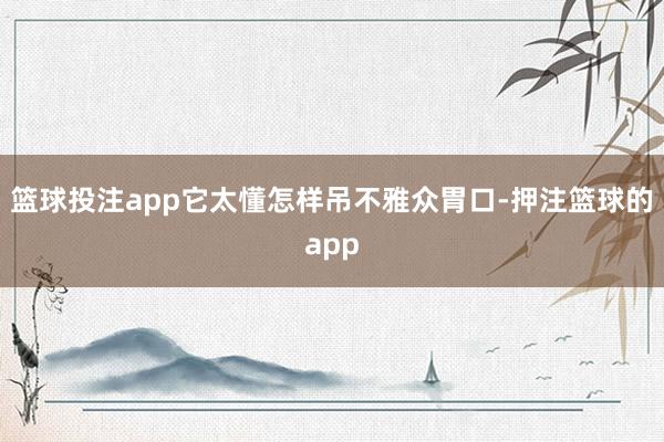 篮球投注app它太懂怎样吊不雅众胃口-押注篮球的app