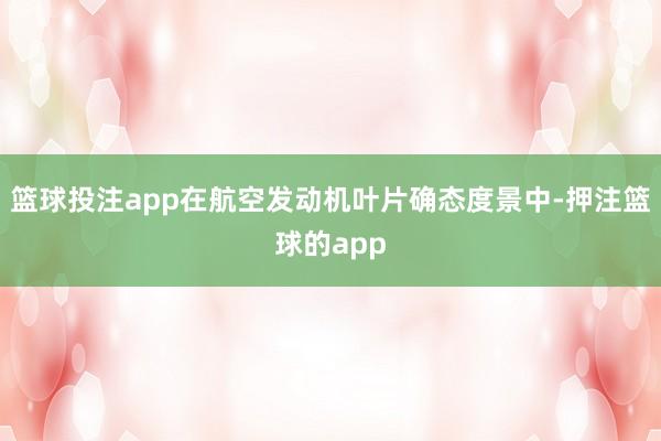 篮球投注app在航空发动机叶片确态度景中-押注篮球的app