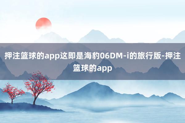 押注篮球的app这即是海豹06DM-i的旅行版-押注篮球的app