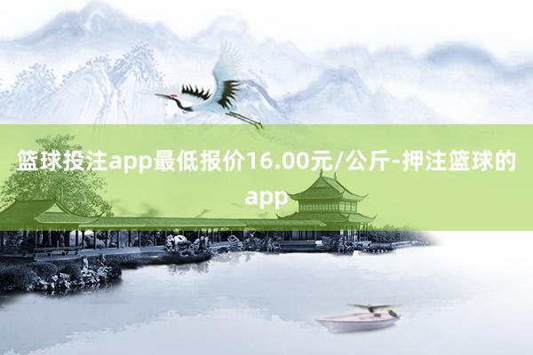 篮球投注app最低报价16.00元/公斤-押注篮球的app