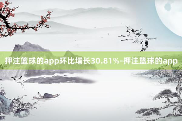 押注篮球的app环比增长30.81%-押注篮球的app